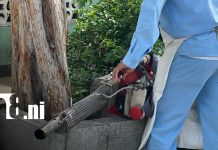Foto: MINSA combate el dengue en barrio Ariel Darce/TN8