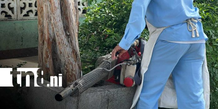 3 Foto: MINSA combate el dengue en barrio Ariel Darce/TN8