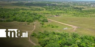 Foto: Puerto Cabezas avanza con nuevo proyecto habitacional “Nuevas Victorias”/TN8