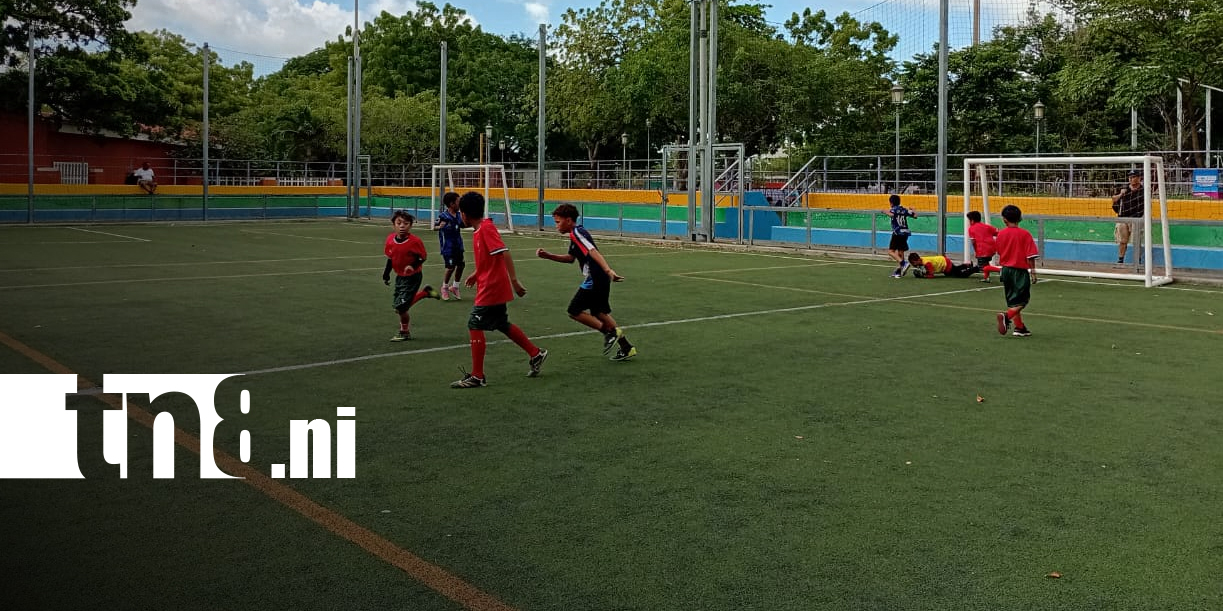 Foto: Mundialito de Fútbol infantil avanza a semifinales/TN8