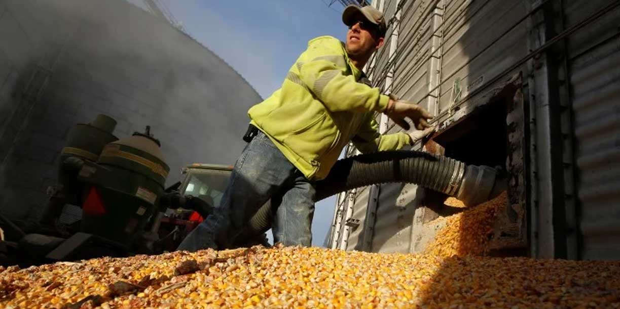 Foto: Calor en EE.UU. alerta al mercado de granos/Cortesía