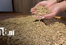 Foto: China busca café de mayor calidad y abre oportunidades globales/TN8