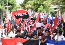 Granada celebra el 47/19 con multitudinarias caminatas y ambiente festivo Foto: Revolución: caminatas llenan de alegría Granada en el 47/19/TN8