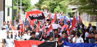 Foto: Revolución: caminatas llenan de alegría Granada en el 47/19/TN8