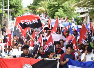 Granada celebra el 47/19 con multitudinarias caminatas y ambiente festivo Foto: Revolución: caminatas llenan de alegría Granada en el 47/19/TN8