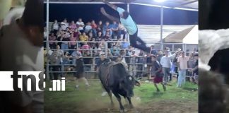 Foto: Toro embiste y deja gravemente herido a un hombre durante corrida en Jinotepe / TN8