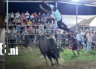 Toro embiste y deja gravemente herido a un hombre durante corrida en Jinotepe Foto: Toro embiste y deja gravemente herido a un hombre durante corrida en Jinotepe / TN8