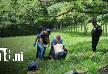 Dos vidas arrebatadas: padre e hijo mueren tras brutal ataque en Matagalpa Foto: Padre e hijo pierden la vida tras brutal ataque con machete en San Ramón, Matagalpa/TN8
