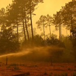 Foto:Francia enfrenta récord histórico de incendios forestales durante 2026/cortesía