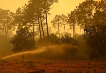 Más de 220.000 evacuados por devastador incendio en Francia Foto:Francia enfrenta récord histórico de incendios forestales durante 2026/cortesía