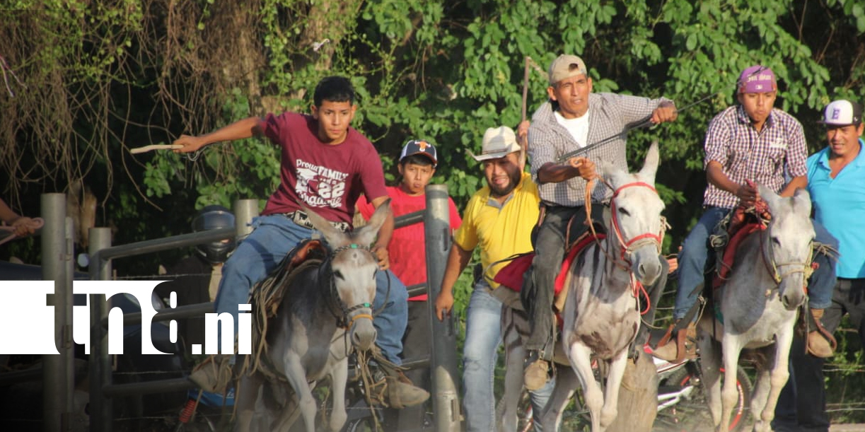 Foto: Somoto honra a Santiago Apóstol con fe, tradición y coloridas festividades/TN8
