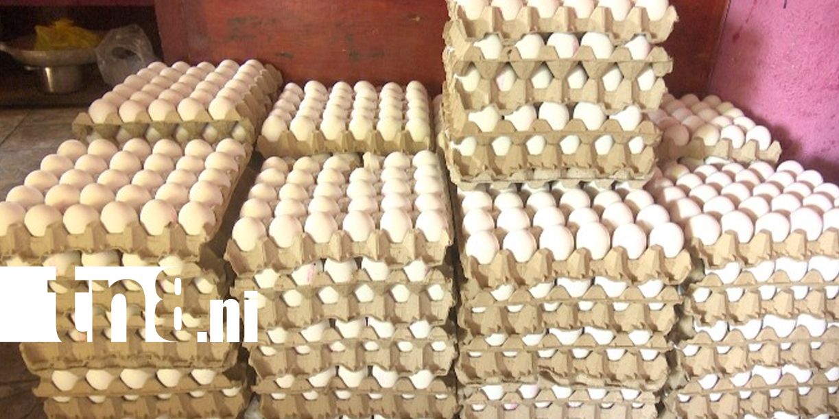 Foto: Canasta: ocho productos mantienen su precio en Nicaragua/TN8