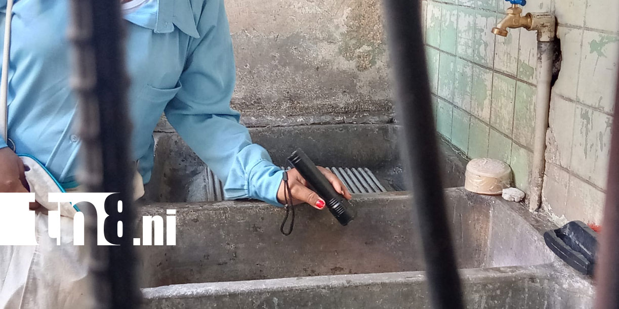 Foto: Brigadas refuerzan lucha contra el dengue en Managua/Cortesía