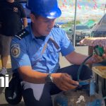 Foto: Bomberos Unidos afinan detalles para un Palo Lucio seguro en Cristo Rey/TN8