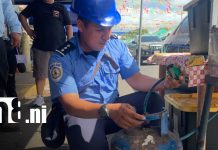 Bomberos Unidos afinan detalles para un Palo Lucio seguro en Cristo Rey Foto: Bomberos Unidos afinan detalles para un Palo Lucio seguro en Cristo Rey/TN8