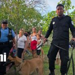 Foto: Niño de dos años aparece con vida en una zona montosa/TN8
