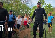 Foto: Niño de dos años aparece con vida en una zona montosa/TN8