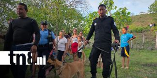 Foto: Niño de dos años aparece con vida en una zona montosa/TN8