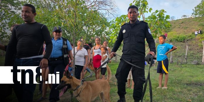 Foto: Niño de dos años aparece con vida en una zona montosa/TN8