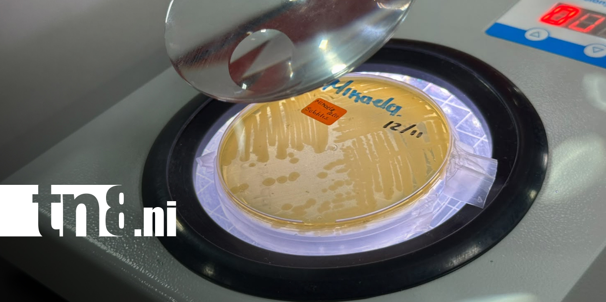 Foto: Biotecnología impulsa proyectos innovadores en Nicaragua/TN8