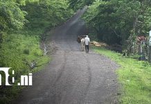 Nuevo camino en Quarquita impulsa la producción y conecta comunidades de Chontales Foto: Chontales mejora su conectividad rural/TN8