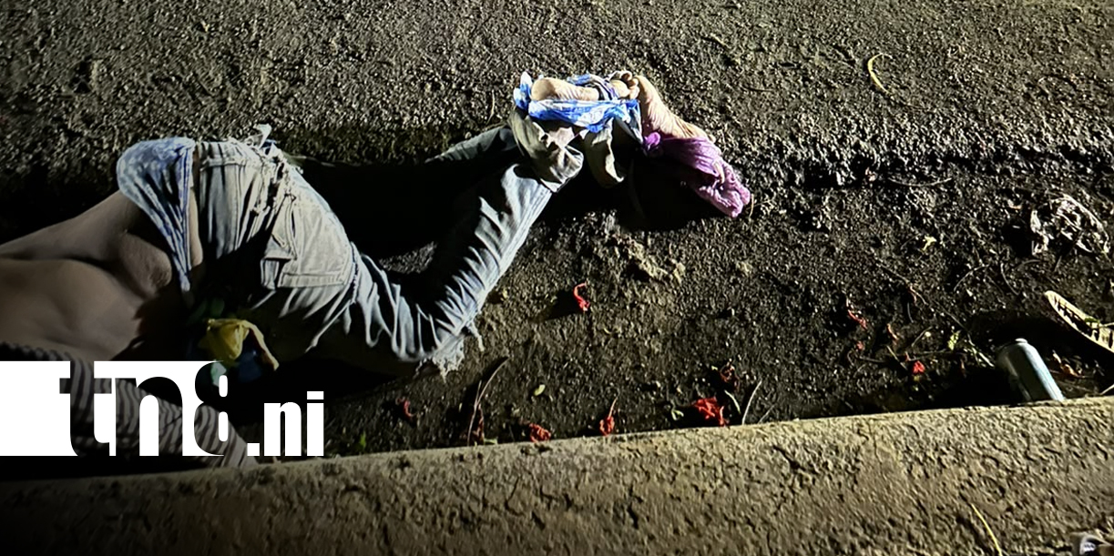Foto: Mujer gravemente lesionada tras ser atropellada/TN8