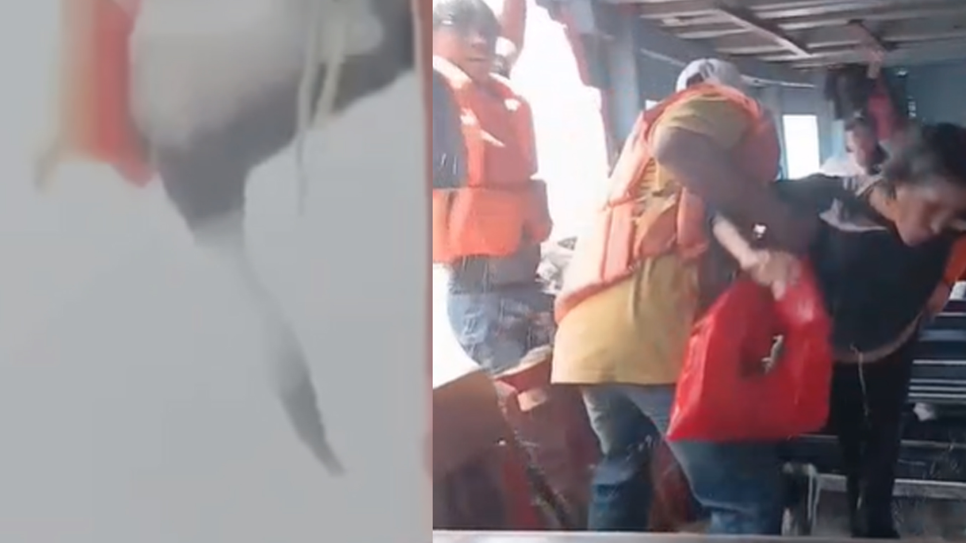 Foto: Mujer cae al Lago Cocibolca y es rescatada durante viaje a Ometepe/TN8