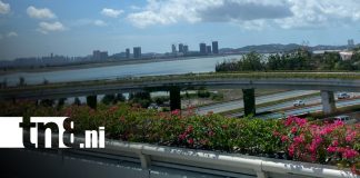 Foto: China: donde la modernidad convive con la naturaleza/TN8