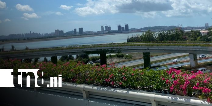 Foto: China: donde la modernidad convive con la naturaleza/TN8 Foto: China: donde la modernidad convive con la naturaleza/TN8