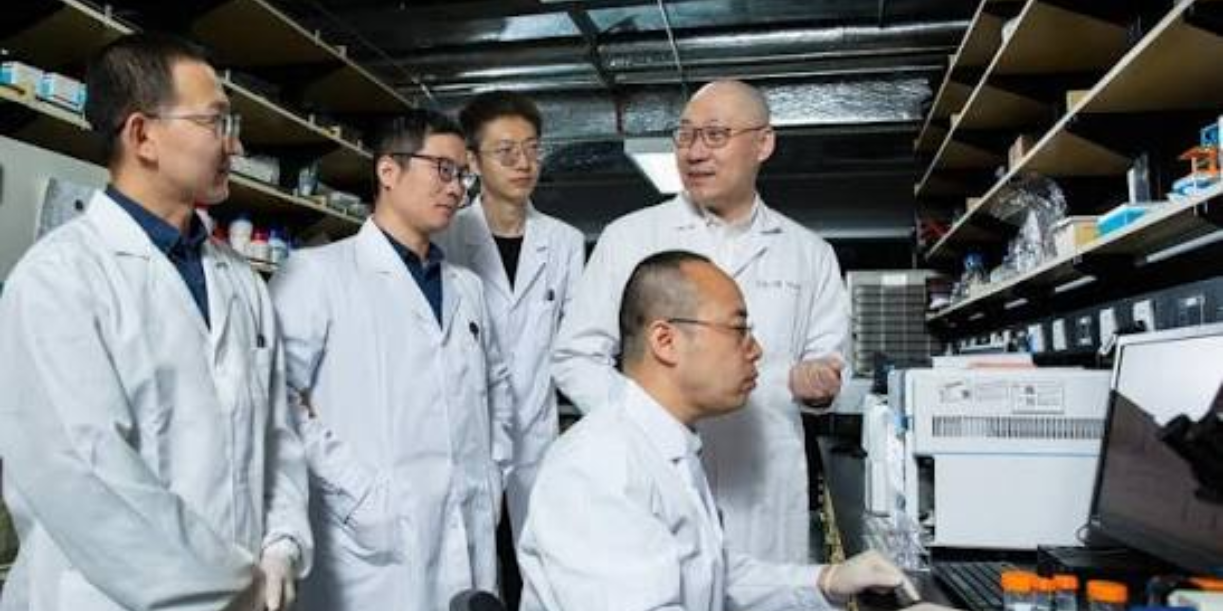 Foto: Científicos descubren una prometedora combinación para combatir un cáncer de pulmón resistente/Cortesìa