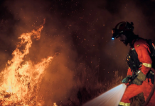 Incendios en Madrid y Ávila arrasan más de 25.000 hectáreas en España