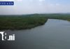 Foto: Isla Juan Venado, ejemplo de conservación de los manglares en Nicaragua/TN8