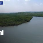 Foto: Isla Juan Venado, ejemplo de conservación de los manglares en Nicaragua/TN8