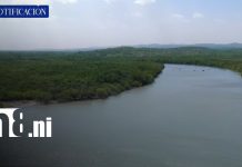 Isla Juan Venado, ejemplo de conservación de los manglares en Nicaragua Foto: Isla Juan Venado, ejemplo de conservación de los manglares en Nicaragua/TN8