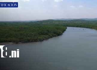 Isla Juan Venado, ejemplo de conservación de los manglares en Nicaragua Foto: Isla Juan Venado, ejemplo de conservación de los manglares en Nicaragua/TN8