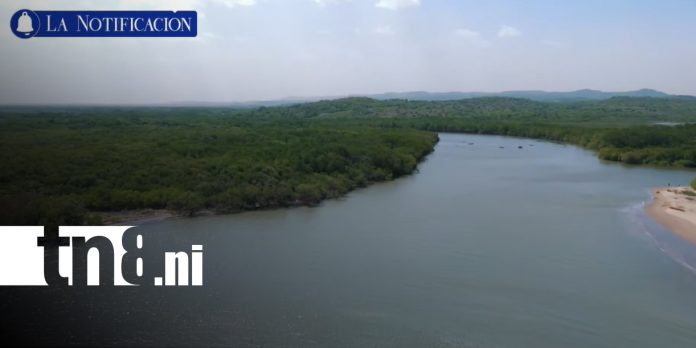 Foto: Isla Juan Venado, ejemplo de conservación de los manglares en Nicaragua/TN8