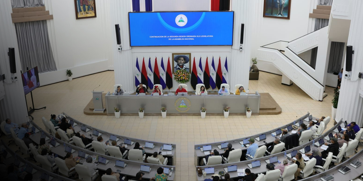 Foto: Parlamento de Nicaragua en solidaridad con Palestina / TN8