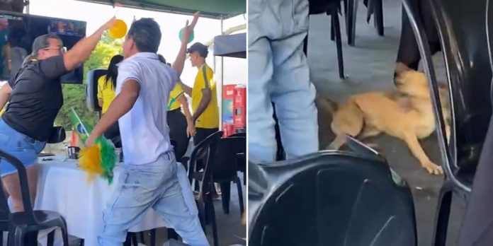 Foto: Perro celebra el gol de Brasil y se hace viral/Cortesía