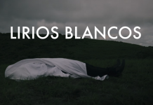 Foto: Lirios Blancos es el nuevo sencillo de la banda Zolca