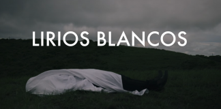 Foto: Lirios Blancos es el nuevo sencillo de la banda Zolca