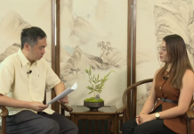 Periodista de Crónica TN8, Alejandra Palacios, comparte su experiencia en China con CGTN Foto: Entrevista a Alejandra Palacios por el medio CGTN en Español en China