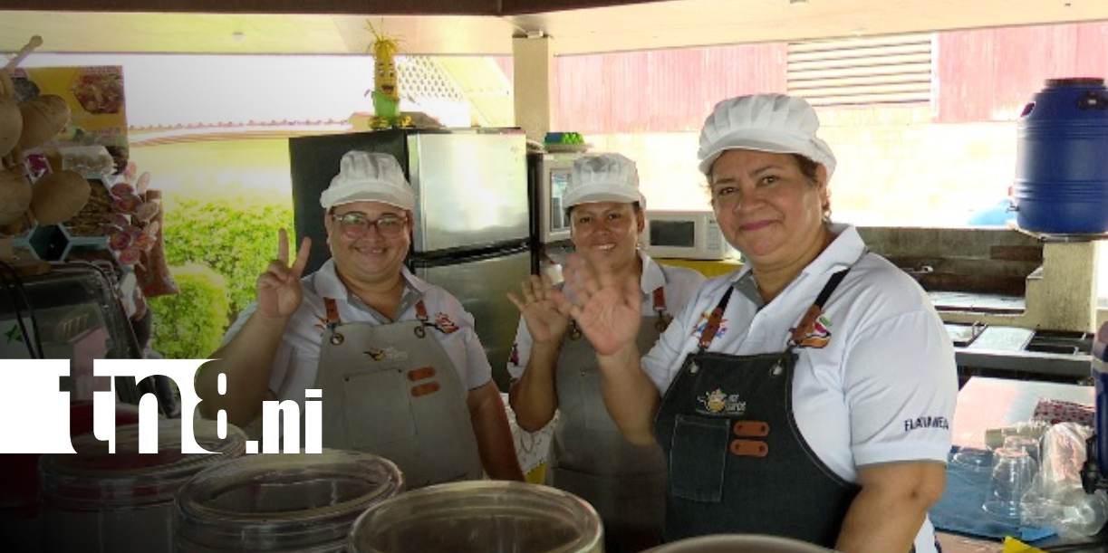 Foto: Festival Gastronómico en Managua, muy pronto / TN8