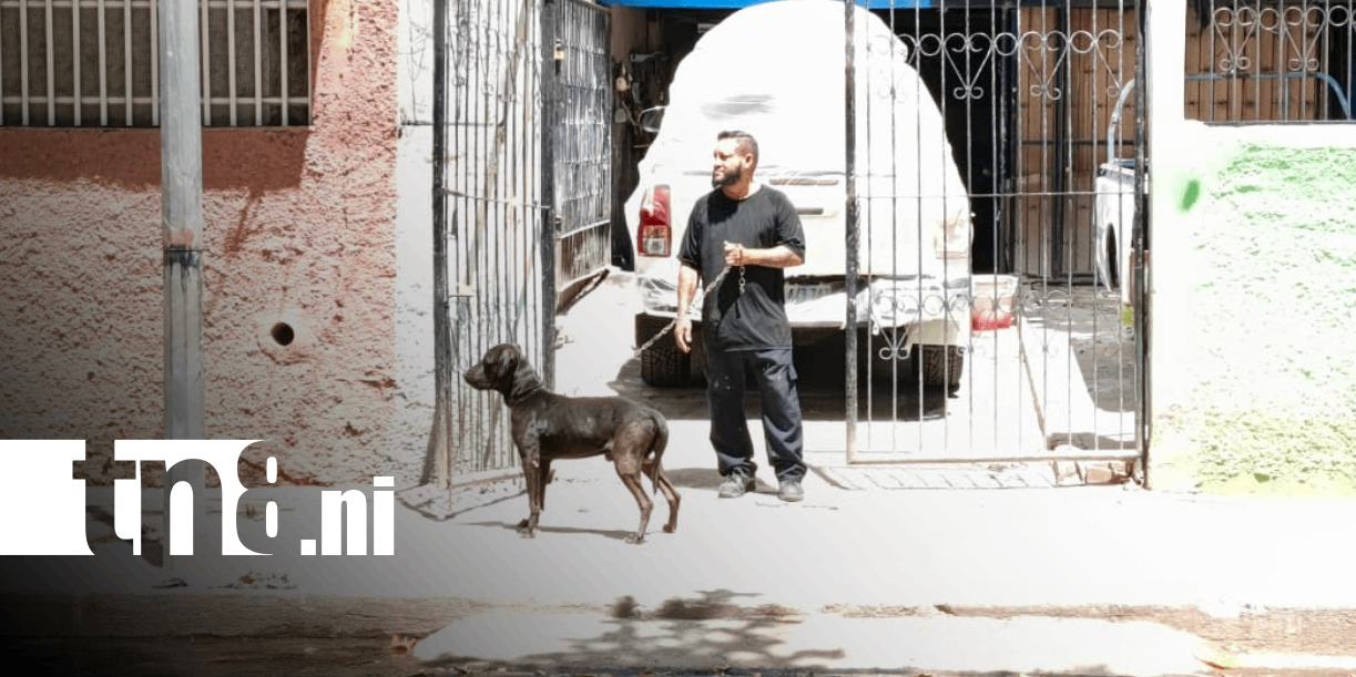 Foto: Hombre muere tras mordedura de perro en Managua / TN8