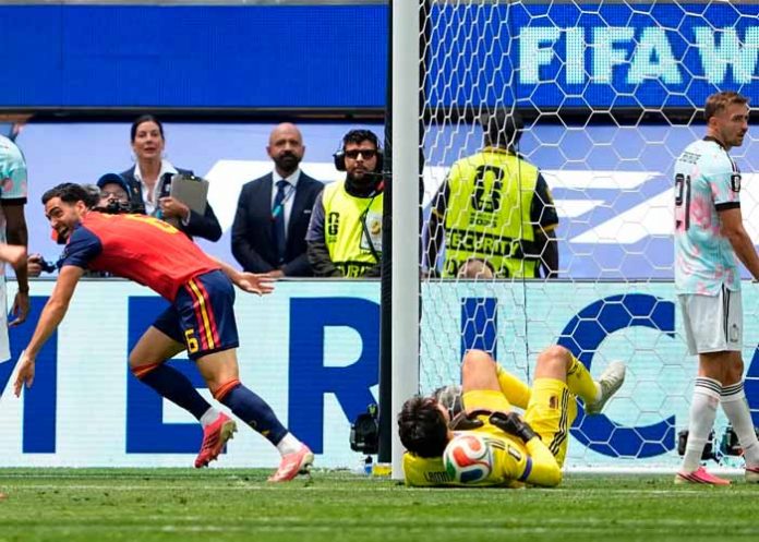 Merino mikel, merino, españa,