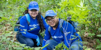 Tigo Nicaragua realiza jornada de reforestación