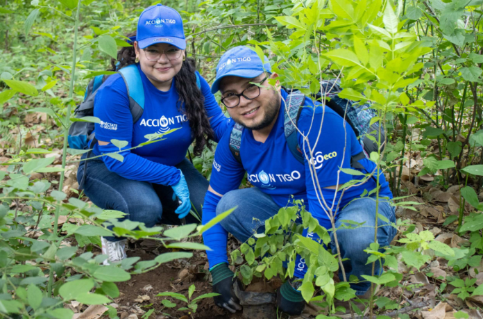 Reforestación 7 Tigo Nicaragua realiza jornada de reforestación