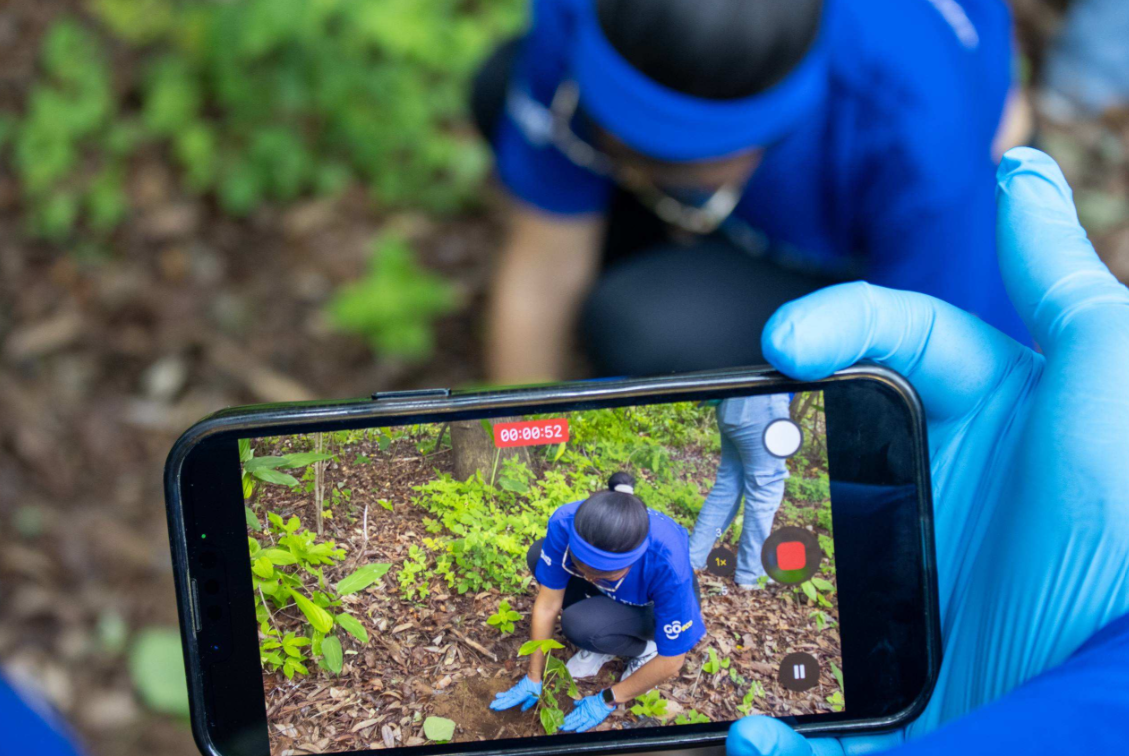 Tigo Nicaragua realiza jornada de reforestación