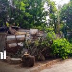 Fuertes vientos dejan sin hogar a familia de escasos recursos en Mateare Foto: Fuertes vientos destruyen vivienda en Mateare / TN8