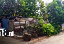 Fuertes vientos dejan sin hogar a familia de escasos recursos en Mateare Foto: Fuertes vientos destruyen vivienda en Mateare / TN8