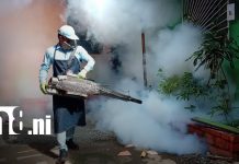 Foto: Fumigación por Monseñor Lezcano, Managua / TN8